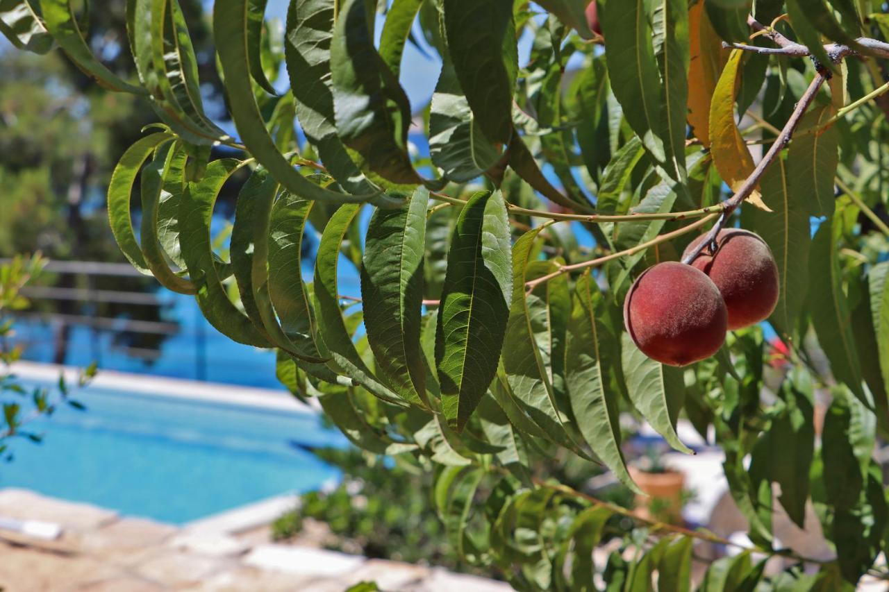 Vila Perla Villa Vela Luka Exterior photo